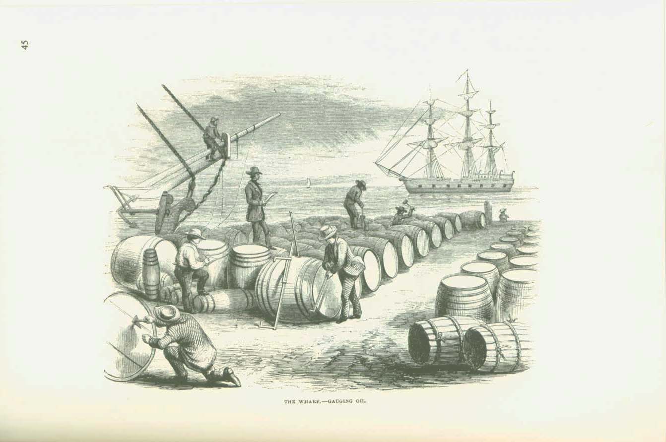 19th CENTURY WHALING TALES. VIST0089m